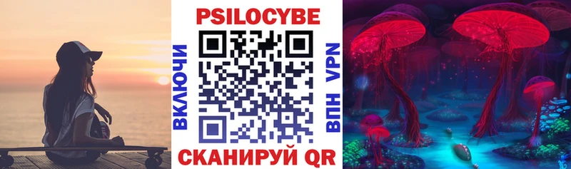 Купить  Дальнегорск  Галлюциногенные грибы мухоморы 